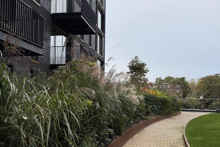 倫敦的歷史建築改造為住宅後,有哪些獨特魅力和潛在問題?